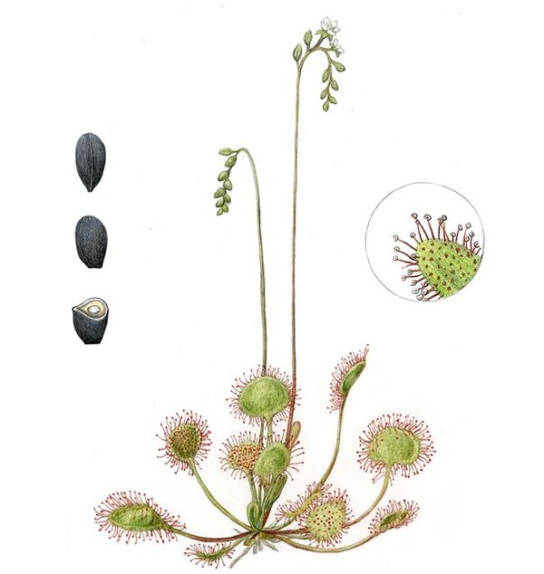 사진_ 서울신문