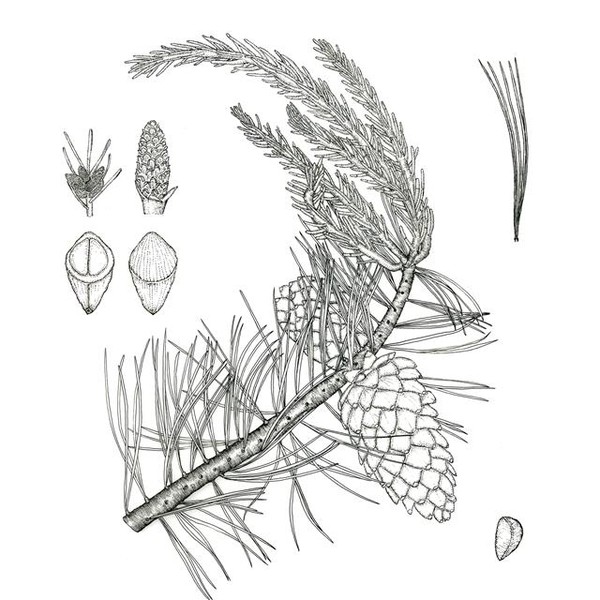 사진_ 서울신문