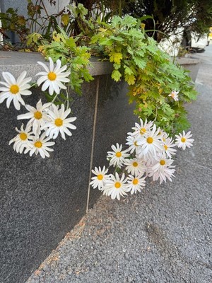 아직은 괜찮습니다 7화 죽을 뻔 했네