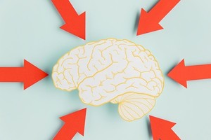 무시당할 때 우리 뇌에서 일어나는 일-무시와 뇌가 느끼는 고통